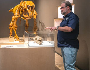 Australia's Oldest Megafauna