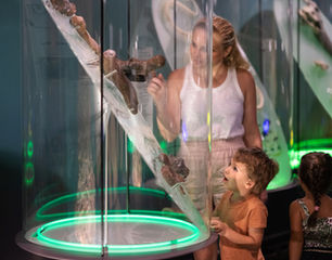 Transformations: the changing nature of the territory