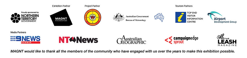 CT_sponsor logos lockup_edited.jpg